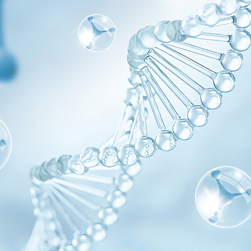 🚽Neues UV-Toiletten-Sterilisationslampen-Set